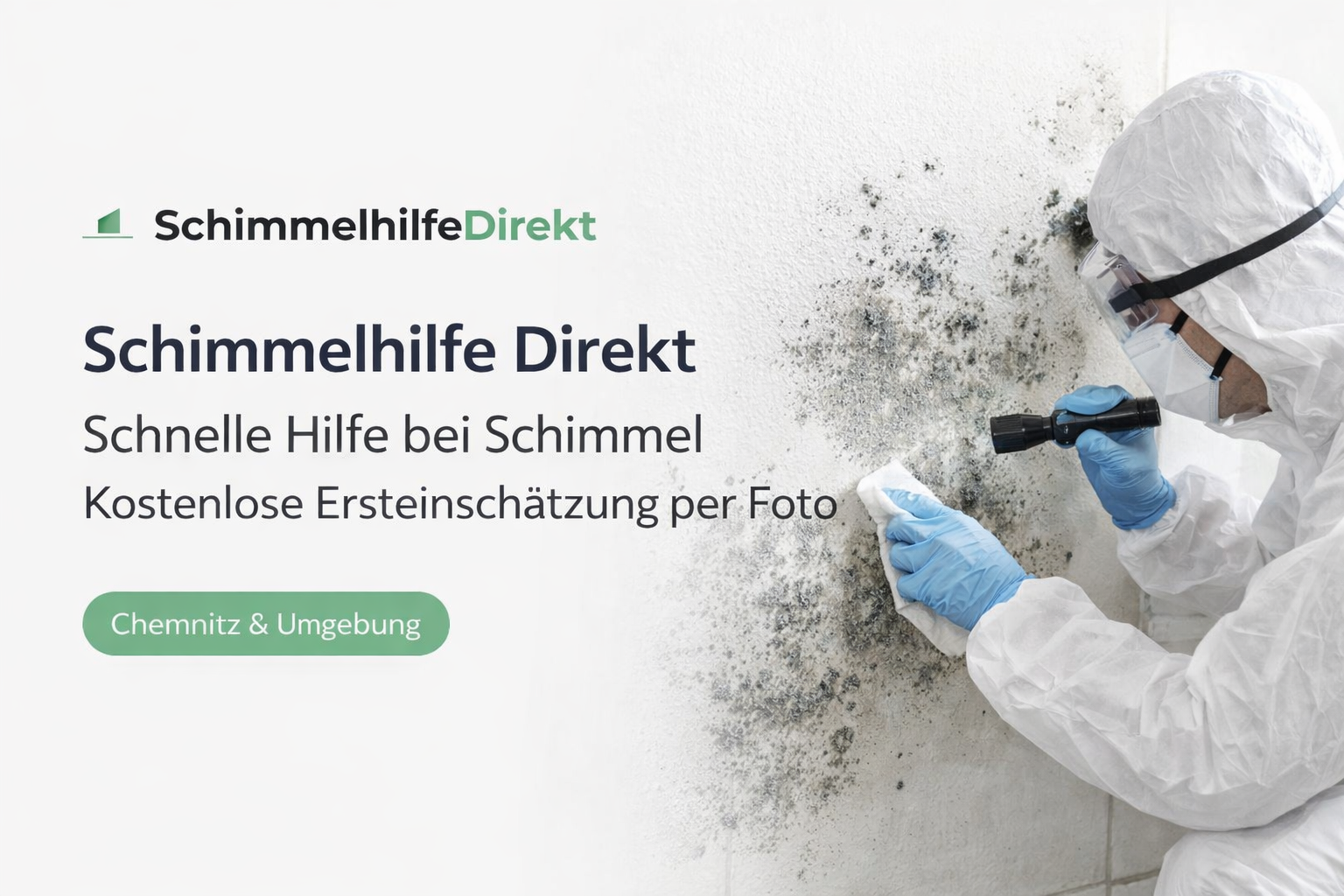 Website Schimmelhilfe Direkt – Webdesign Referenz